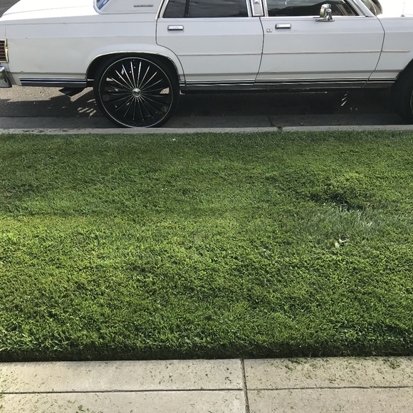 1985 mercury grand marquis - Picture 10 of 11